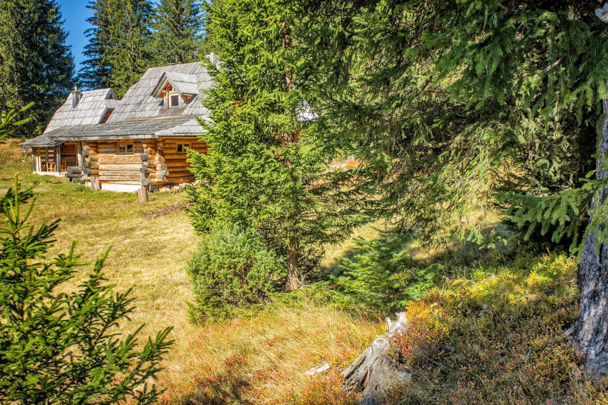 Lodge Nadgora Žabljak Kültér fotó